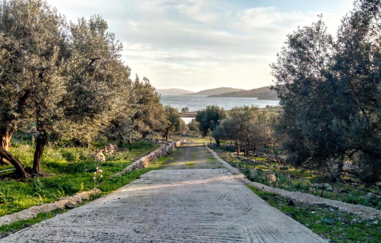 "Koukmos Beach" Greenspace Living - Private Sandy Beach Parakoila Exterior photo